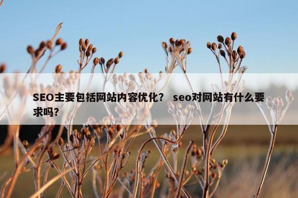 SEO主要包括网站内容优化？ seo对网站有什么要求吗？