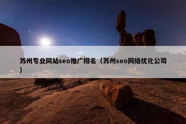 苏州专业网站seo推广排名（苏州seo网络优化公司）