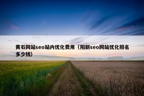 黄石网站seo站内优化费用（阳新seo网站优化排名多少钱）