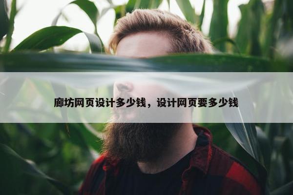 廊坊网页设计多少钱，设计网页要多少钱