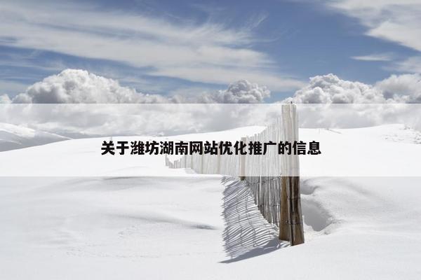 关于潍坊湖南网站优化推广的信息
