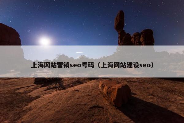 上海网站营销seo号码（上海网站建设seo）