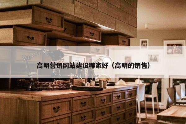 高明营销网站建设哪家好（高明的销售）