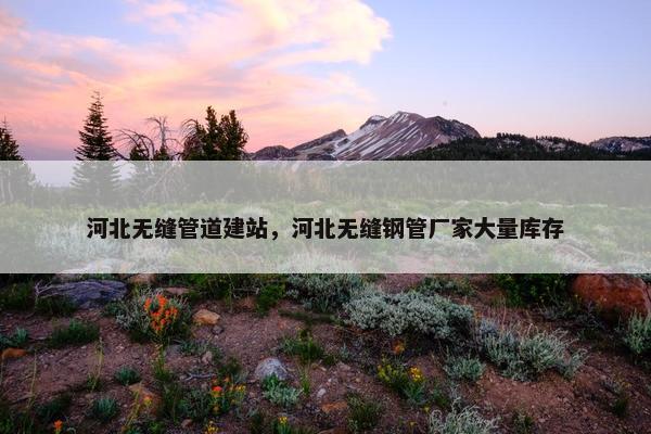 河北无缝管道建站，河北无缝钢管厂家大量库存