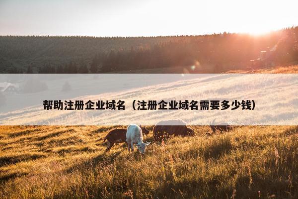 帮助注册企业域名（注册企业域名需要多少钱）