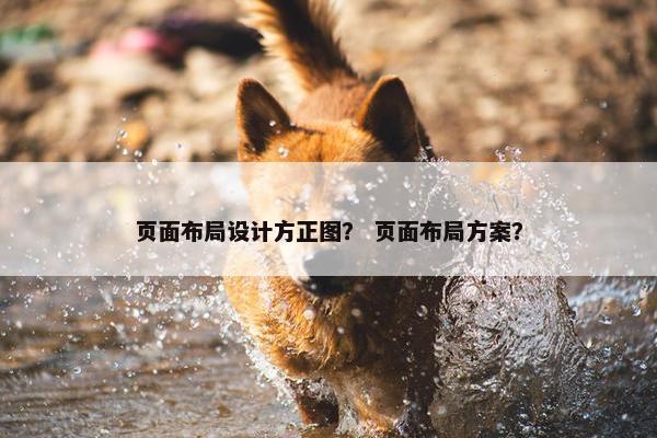 页面布局设计方正图？ 页面布局方案？