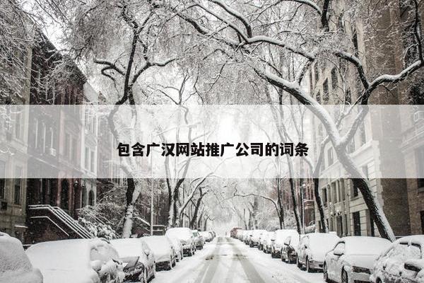 包含广汉网站推广公司的词条