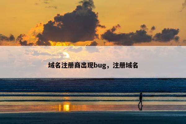 域名注册商出现bug，注册域名