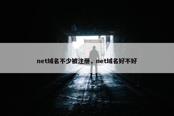 net域名不少被注册，net域名好不好