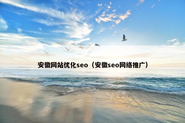 安徽网站优化seo（安徽seo网络推广）