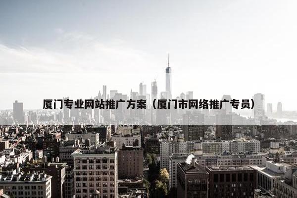 厦门专业网站推广方案（厦门市网络推广专员）
