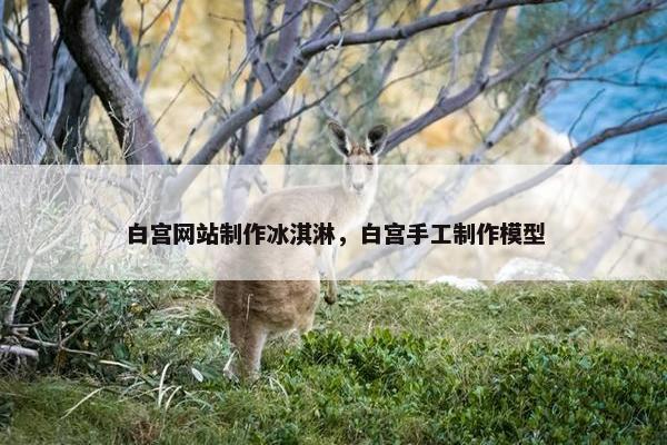 白宫网站制作冰淇淋，白宫手工制作模型