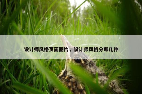 设计师风格页面图片，设计师风格分哪几种