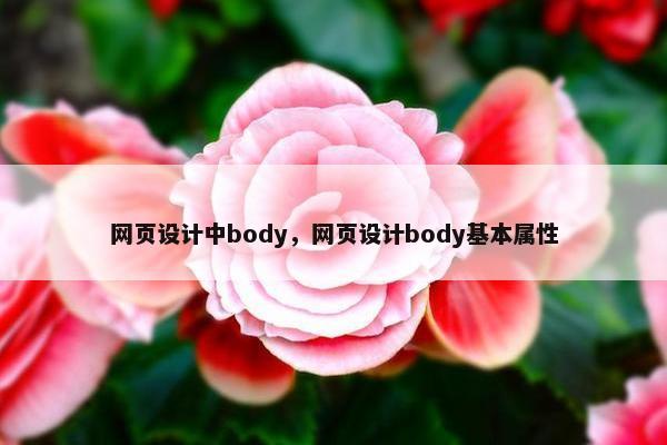 网页设计中body，网页设计body基本属性