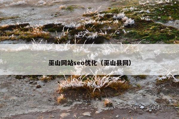巫山网站seo优化（巫山县网）