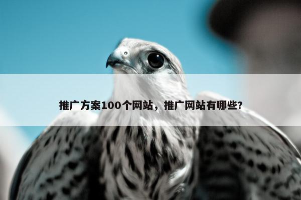 推广方案100个网站，推广网站有哪些?