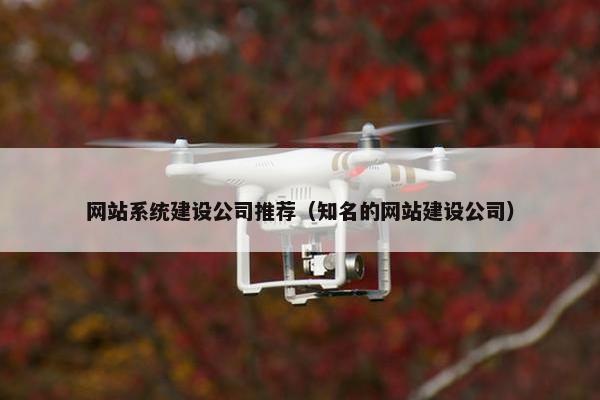 网站系统建设公司推荐（知名的网站建设公司）