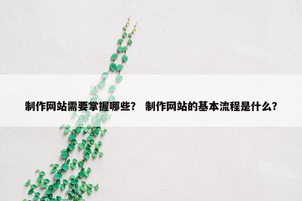 制作网站需要掌握哪些？ 制作网站的基本流程是什么？