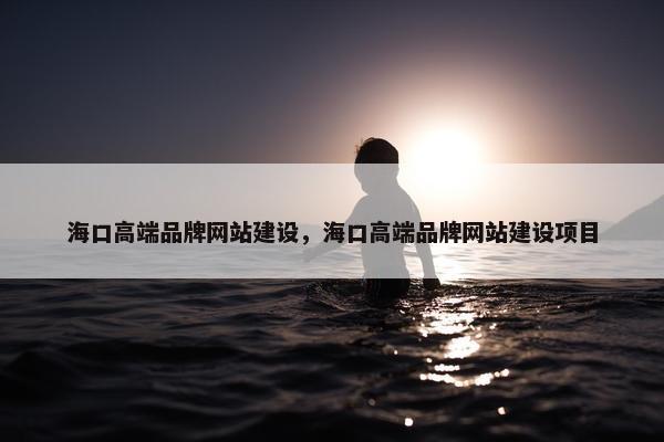 海口高端品牌网站建设，海口高端品牌网站建设项目