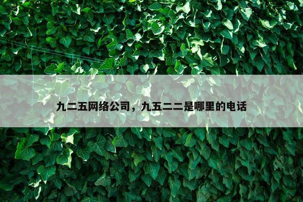 九二五网络公司，九五二二是哪里的电话