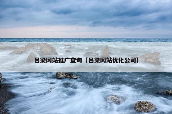 吕梁网站推广查询（吕梁网站优化公司）