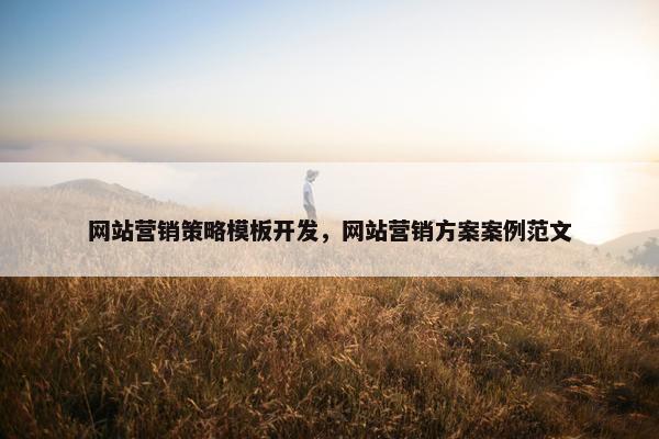 网站营销策略模板开发，网站营销方案案例范文
