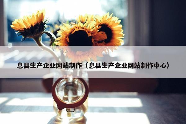 息县生产企业网站制作（息县生产企业网站制作中心）