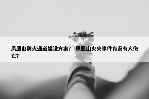 凤凰山防火通道建设方案？ 凤凰山火灾事件有没有人伤亡？