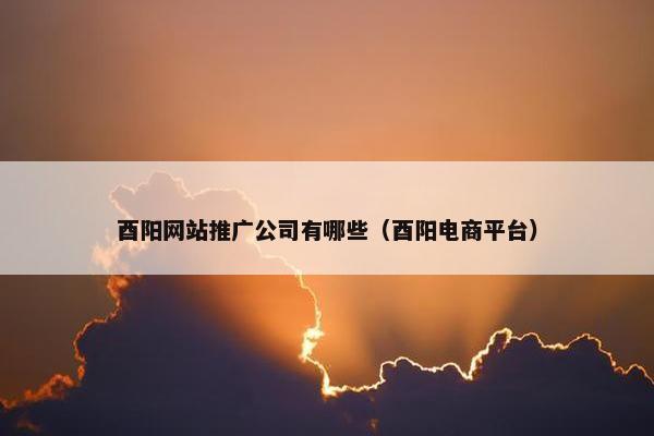 酉阳网站推广公司有哪些（酉阳电商平台）