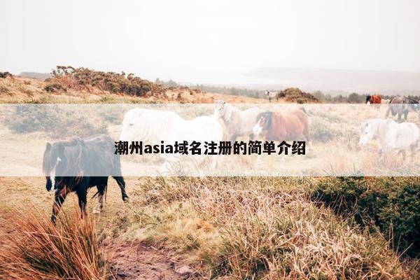 潮州asia域名注册的简单介绍