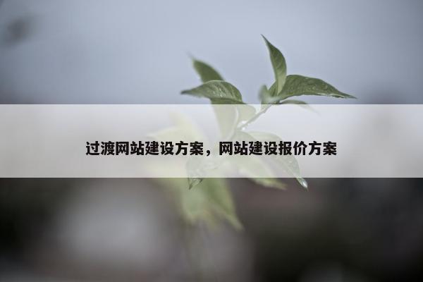 过渡网站建设方案，网站建设报价方案