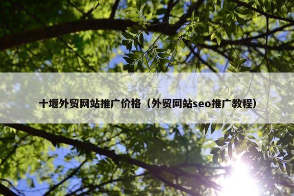 十堰外贸网站推广价格（外贸网站seo推广教程）