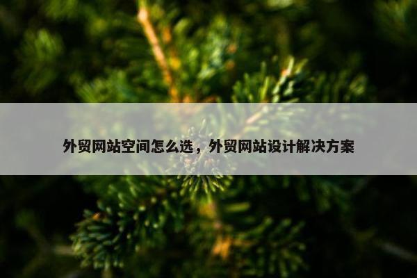 外贸网站空间怎么选，外贸网站设计解决方案
