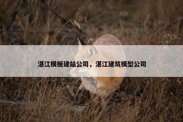 湛江模板建站公司，湛江建筑模型公司