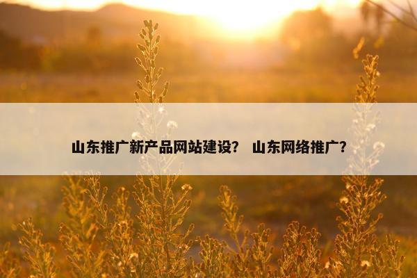 山东推广新产品网站建设？ 山东网络推广？