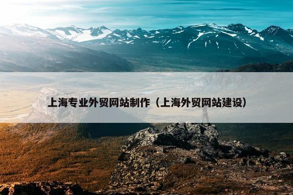 上海专业外贸网站制作（上海外贸网站建设）