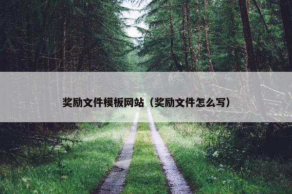 奖励文件模板网站（奖励文件怎么写）