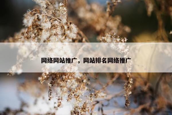 网络网站推广，网站排名网络推广