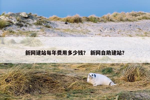 新网建站每年费用多少钱？ 新网自助建站？
