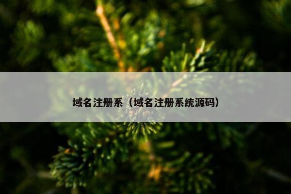 域名注册系（域名注册系统源码）