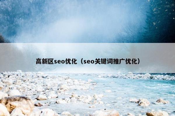 高新区seo优化（seo关键词推广优化）