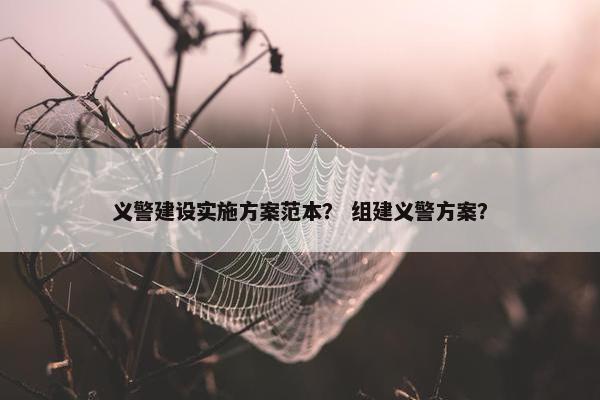 义警建设实施方案范本？ 组建义警方案？