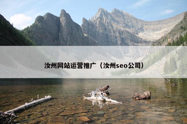 汝州网站运营推广（汝州seo公司）