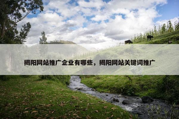 揭阳网站推广企业有哪些，揭阳网站关键词推广