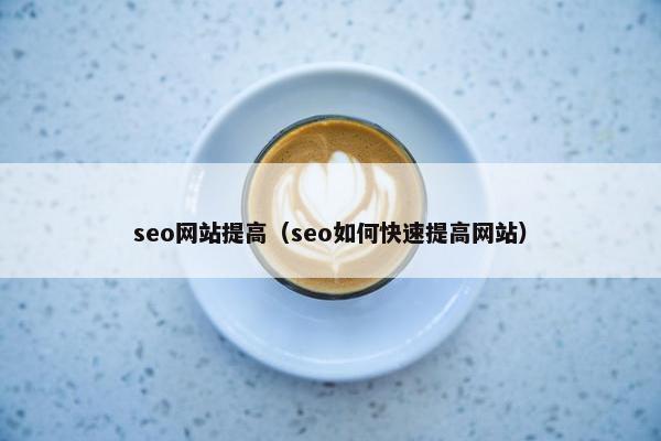seo网站提高（seo如何快速提高网站）