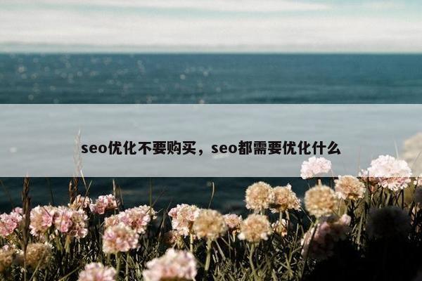 seo优化不要购买，seo都需要优化什么