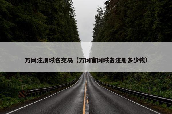 万网注册域名交易（万网官网域名注册多少钱）