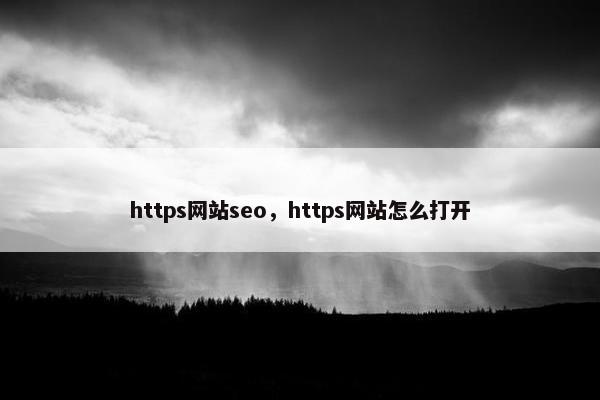 https网站seo，https网站怎么打开