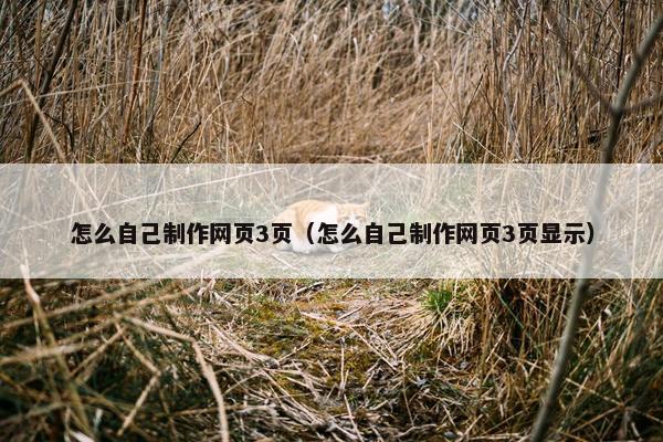 怎么自己制作网页3页（怎么自己制作网页3页显示）