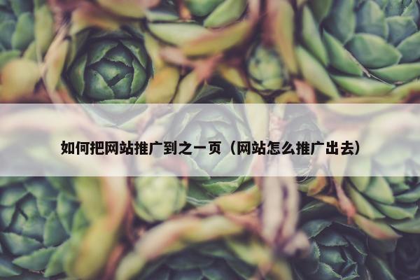 如何把网站推广到之一页（网站怎么推广出去）